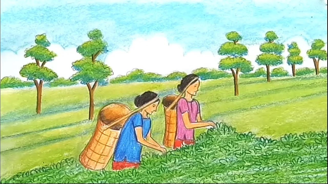 किसान आन्दोलन : चियाको न्यूनतम मूल्य दिलाउने प्रतिबद्धता